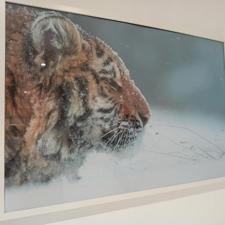 A 4 Min Du Zoo De Beauval La Maison A Partager Ch4 2Eme Etage Saint-Aignan  Bagian luar foto