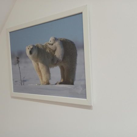 A 4 Min Du Zoo De Beauval La Maison A Partager Ch4 2Eme Etage Saint-Aignan  Bagian luar foto