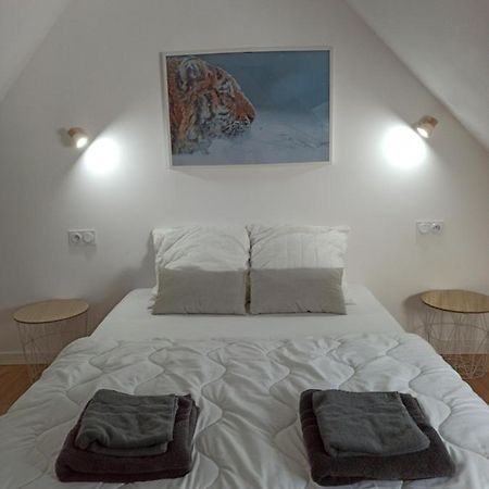 A 4 Min Du Zoo De Beauval La Maison A Partager Ch4 2Eme Etage Saint-Aignan  Bagian luar foto