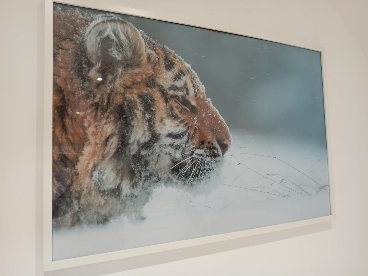 A 4 Min Du Zoo De Beauval La Maison A Partager Ch4 2Eme Etage Saint-Aignan  Bagian luar foto
