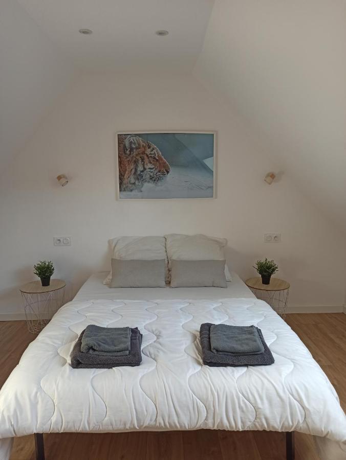 A 4 Min Du Zoo De Beauval La Maison A Partager Ch4 2Eme Etage Saint-Aignan  Bagian luar foto