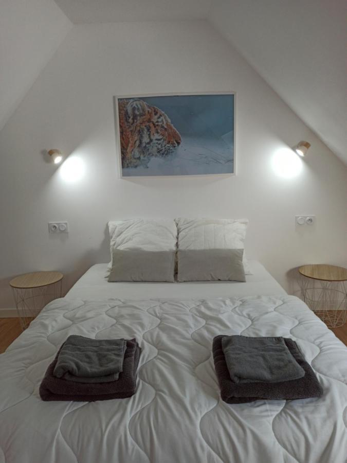 A 4 Min Du Zoo De Beauval La Maison A Partager Ch4 2Eme Etage Saint-Aignan  Bagian luar foto